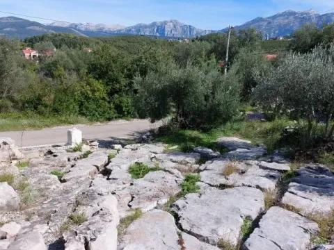 Prodaja, plac, 130m², Tivat, Crna Gora - image 4