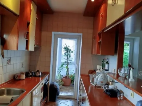 Rent, house, 250m², Olimp, Zvezdara Sve Podlokacije - image 10