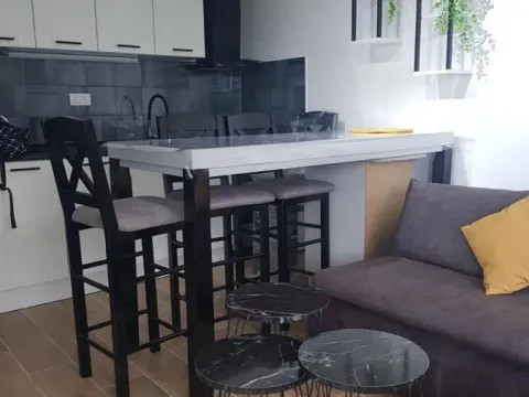 Izdavanje, garsonjera, 22m², Adice, Novi Sad Sve Podlokacije - image 3