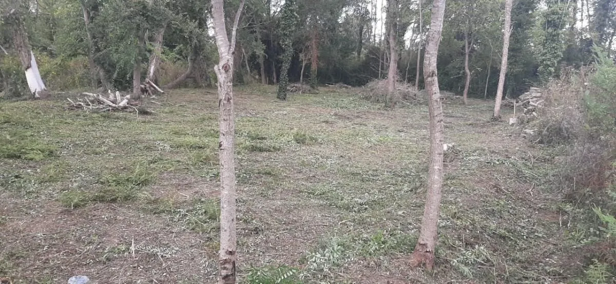 Prodaja, plac, 790m², Bigova, Kotor