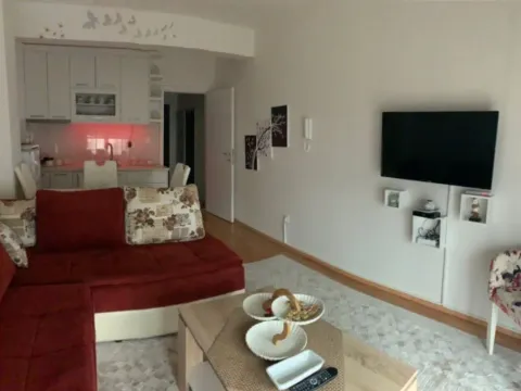 Rent, one bedroom apartment, 27m², Nikšić, Crna Gora - image 2