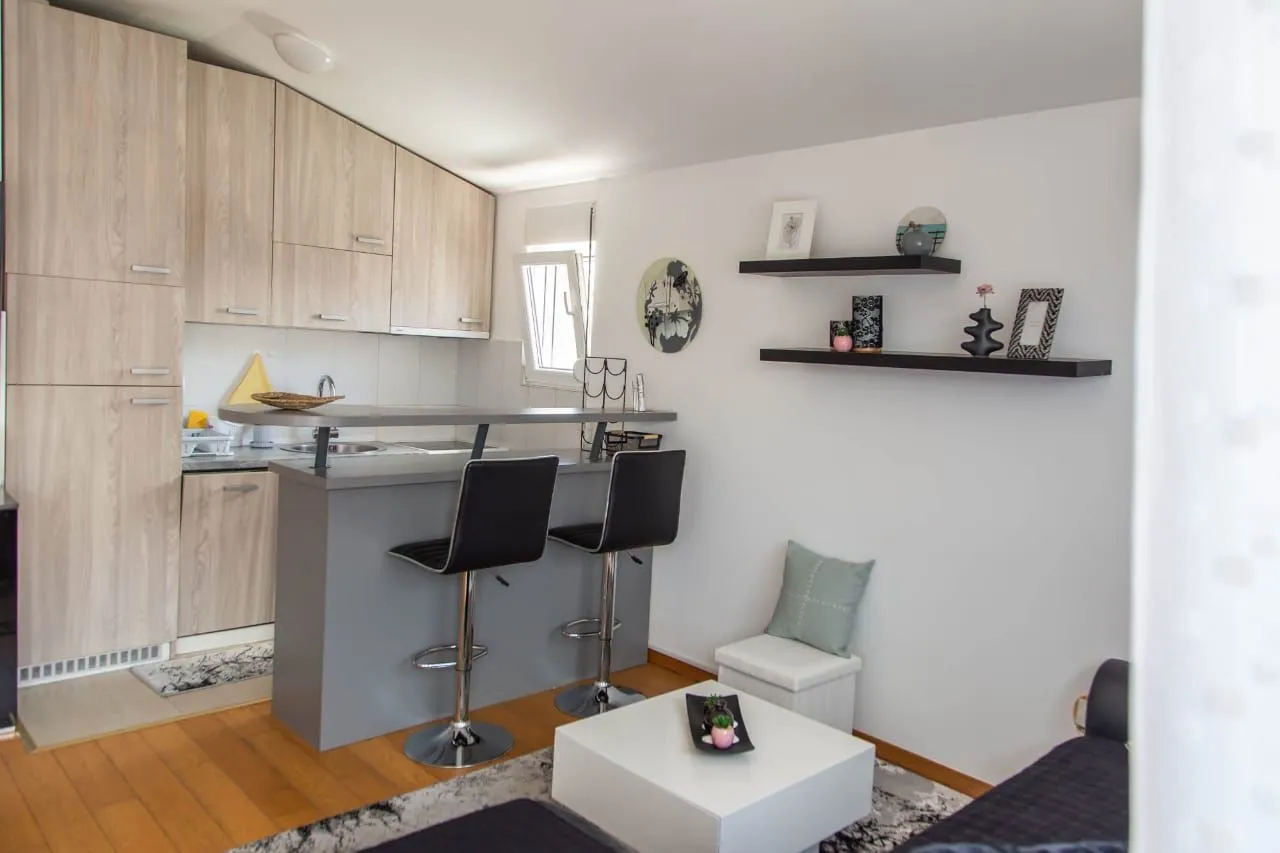 Izdavanje, jednosoban stan, 46m², Blok 9, Podgorica