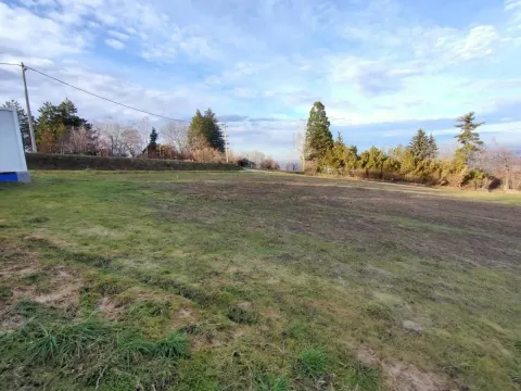 Prodaja, plac, 2400m², Ledinci, Petrovaradin - image 8
