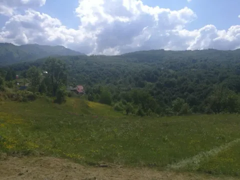 Sale, land lot, 225000m², Padež, Kolašin - image 3
