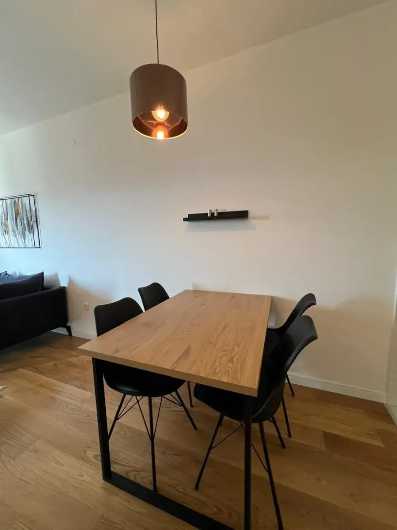 Izdavanje, jednosoban stan, 49m², Central Point, Podgorica