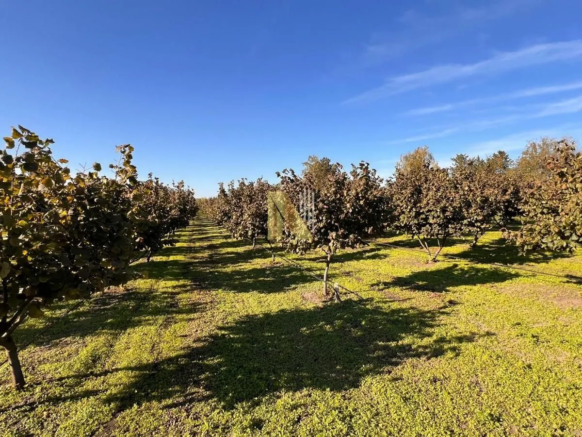Prodaja, plac, 190m², Kikinda, Srbija