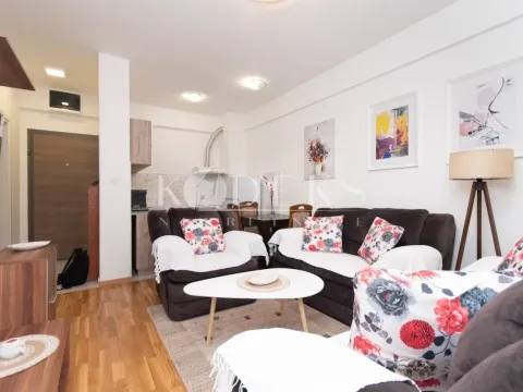 Izdavanje, jednosoban stan, 38m², Zabjelo, Podgorica - image 3