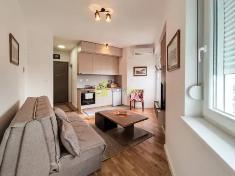 Izdavanje, garsonjera, 24m², Zabjelo, Podgorica - image 3