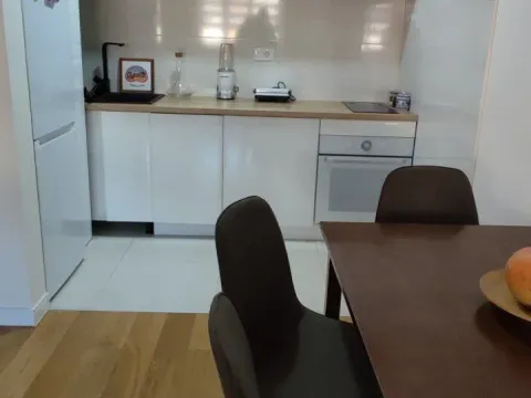 Izdavanje, jednosoban stan, 50m², Central Point, Podgorica - image 2