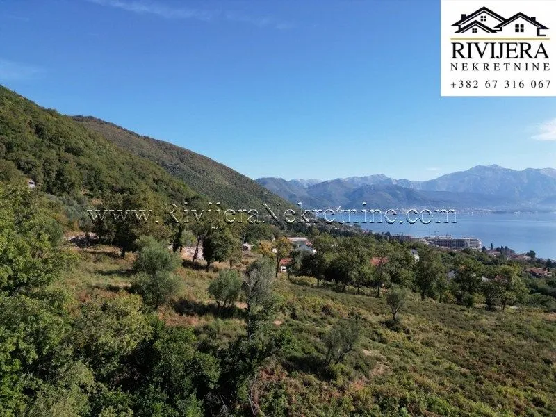 Prodaja, plac, 3000m², Đenovići, Herceg Novi