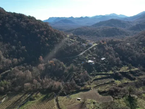 Sale, land lot, 4400m², Cetinje, Crna Gora - image 6