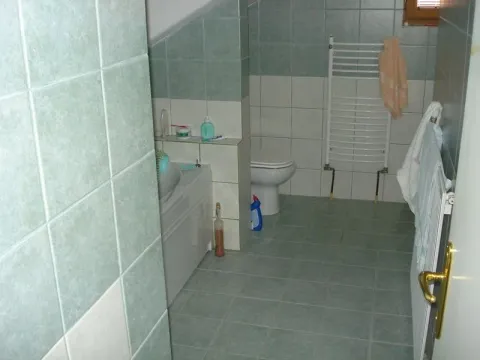 Prodaja, kuća, 400m², Barajevo (mesto), Barajevo - image 15