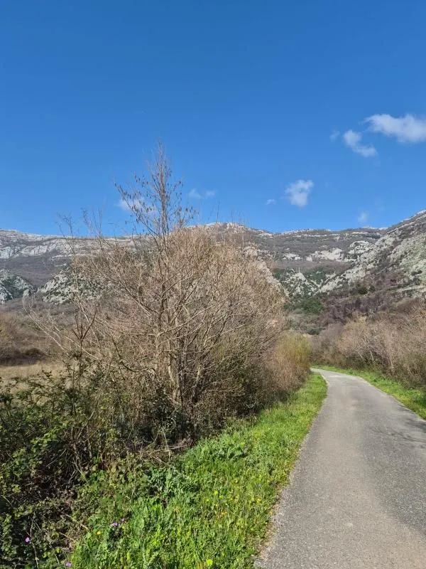 Prodaja, plac, 1242m², Buljarica, Budva