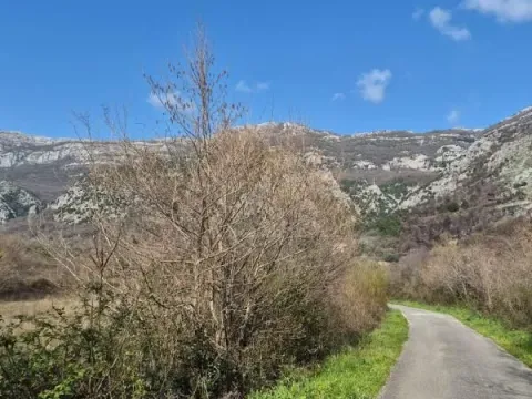 Prodaja, plac, 1242m², Buljarica, Budva - image 4