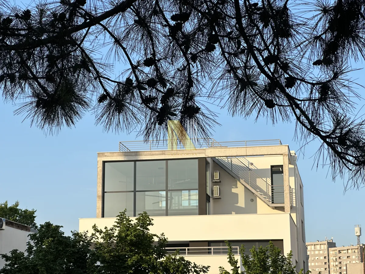 View of the exterior of a modern residential building with large glass surfaces and a pine branch in the foreground.