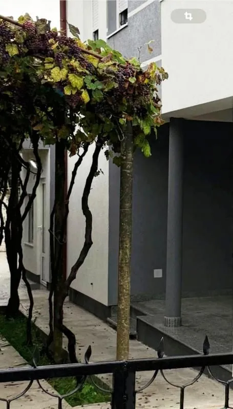 Sale, house, 200m², Gornji Štoj, Ulcinj