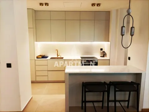 Izdavanje, četvorosoban stan, 120m², Stari Grad, Beograd - image 3