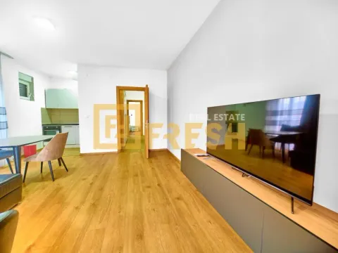 Izdavanje, jednosoban stan, 55m², Stari Aerodrom, Podgorica - image 2