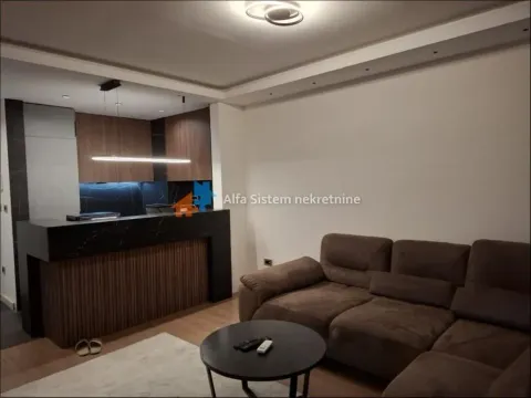 Izdavanje, dvosoban stan, 60m², Novi Beograd Blok 65, Novi Beograd Sve Podlokacije - image 3