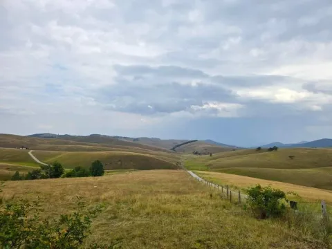 Prodaja, plac, 133175m², Gajevi, Zlatibor - image 5