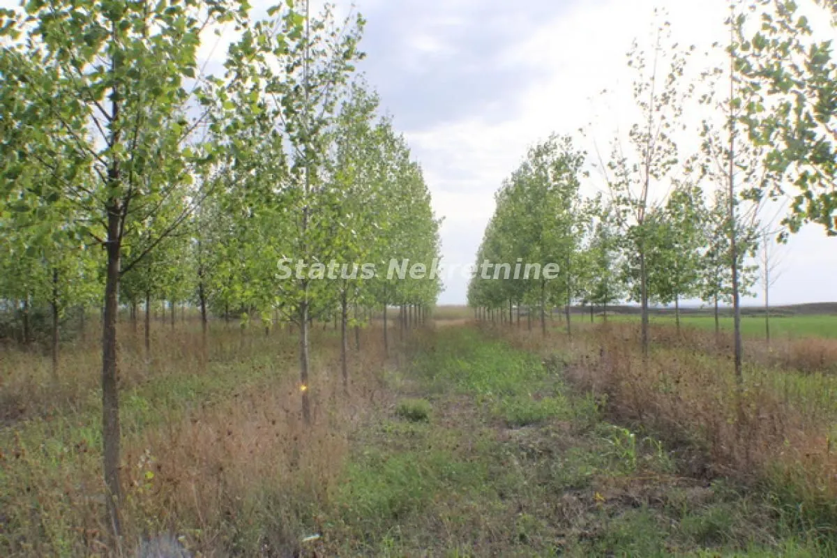 Prodaja, plac, 1378m², Zrenjanin, Srbija