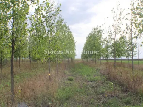 Prodaja, plac, 1378m², Zrenjanin, Srbija - image 20