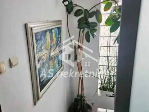 Izdavanje, kuća, 323m², Olimp, Zvezdara Sve Podlokacije - image 6