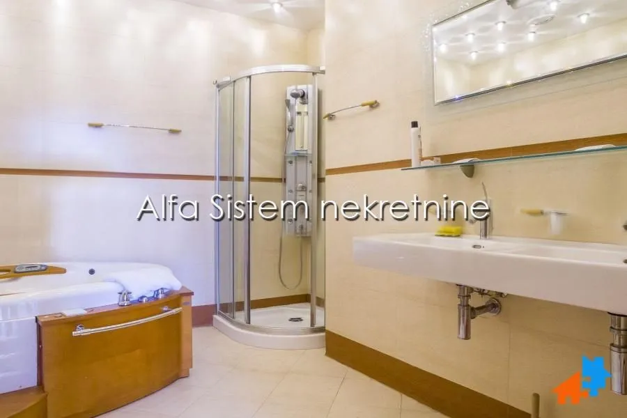 Izdavanje, četvorosoban stan, 222m², Tašmajdan, Palilula Sve Podlokacije