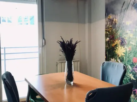 Prodaja, dvosoban stan, 53m², Grbavica, Novi Sad Sve Podlokacije - image 5