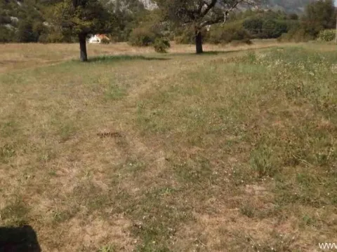 Sale, land lot, 8500m², Grahovo, Nikšić - image 4