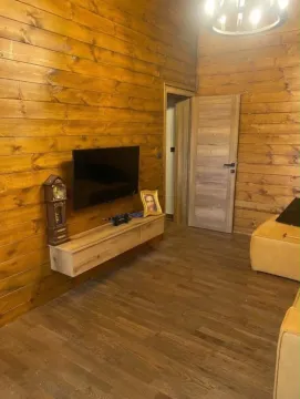 Living room paneled in wood with a television and sofa. - image 9