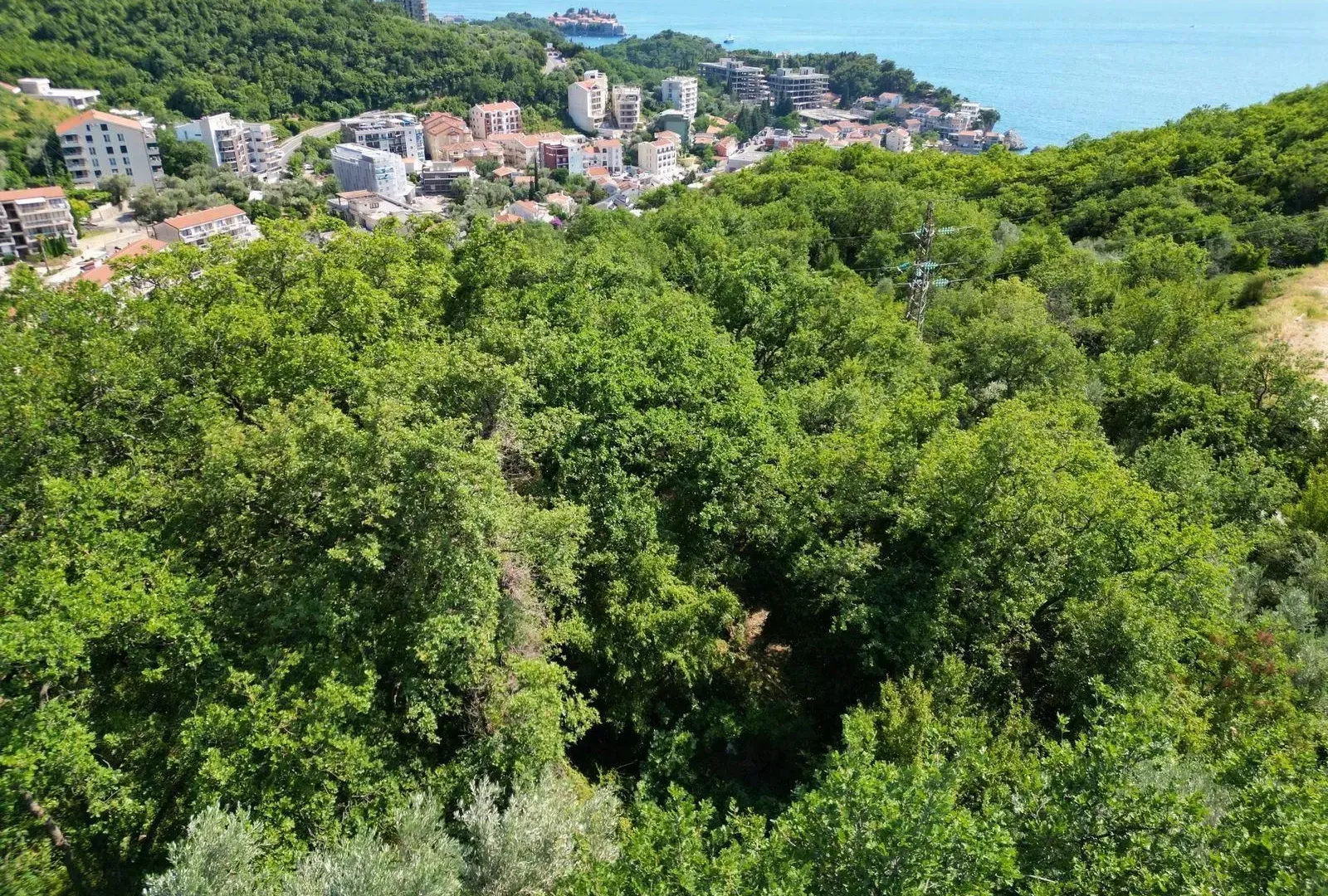 Prodaja, plac, 1295m², Sveti Stefan, Budva