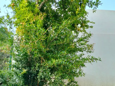 Sale, house, 101m², Šušanj, Bar - image 22