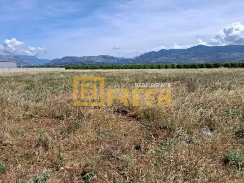 Prodaja, plac, 3000m², Tuzi, Podgorica - image 4