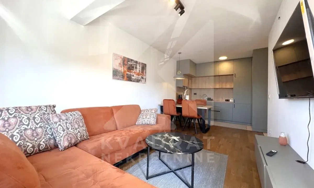 Rent, one bedroom apartment, 45m², Zagorič, Podgorica