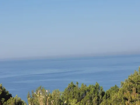 Pogled na more i zelenilo sa nekretnine. - image 4