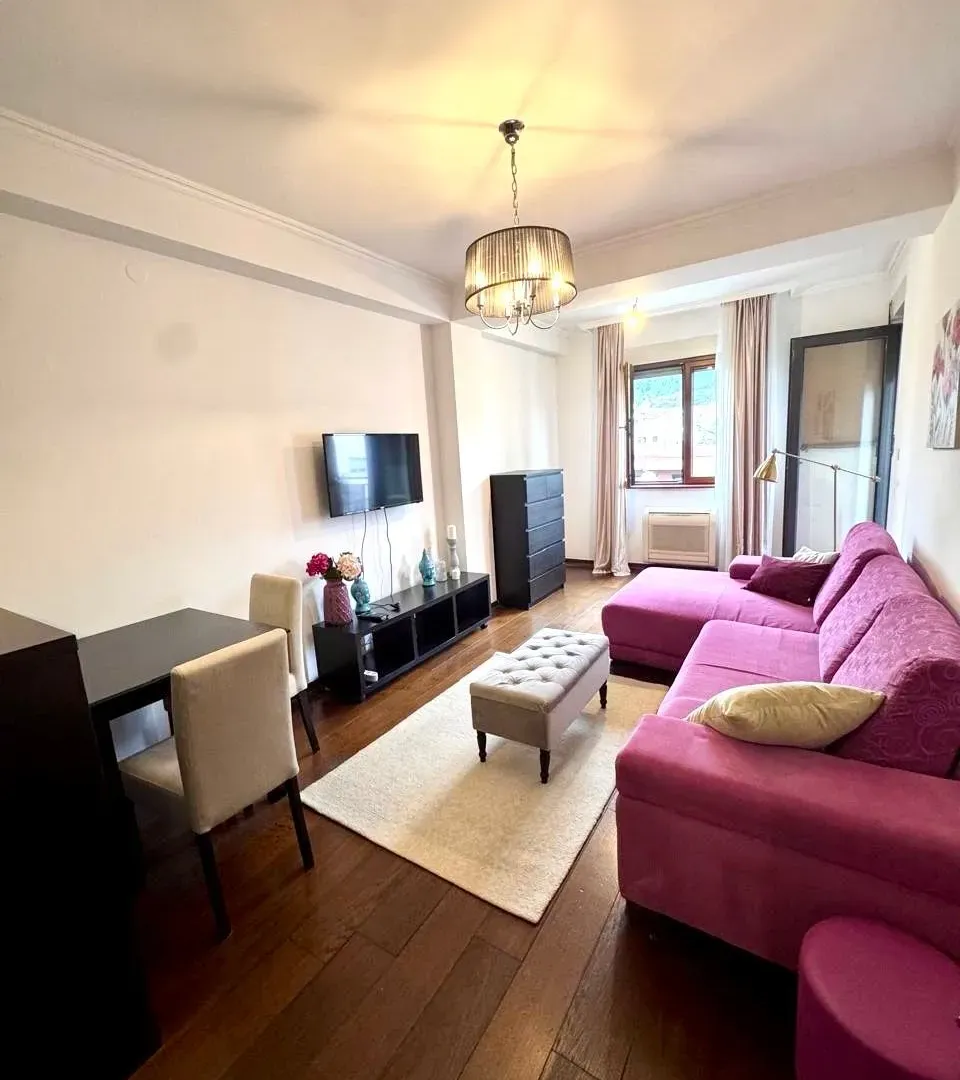 Rent, one bedroom apartment, 44m², Preko Morače, Podgorica