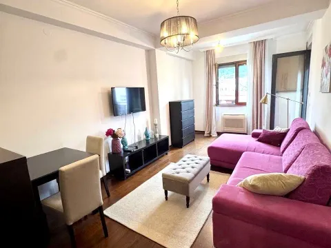 Izdavanje, jednosoban stan, 44m², Preko Morače, Podgorica - image 2