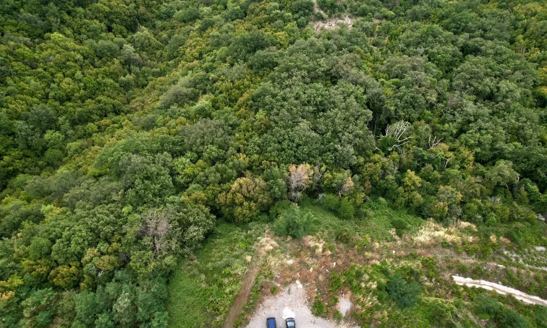 Prodaja, plac, 20000m², Markovići, Budva