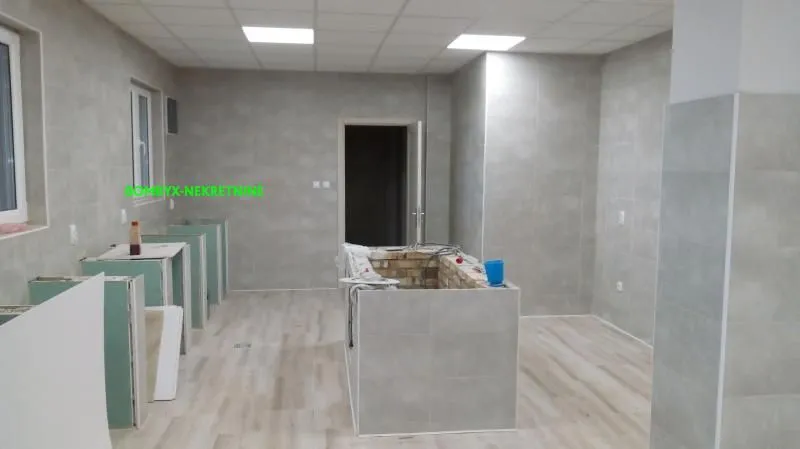 Sale, office space, 850m², Sremska Kamenica, Petrovaradin