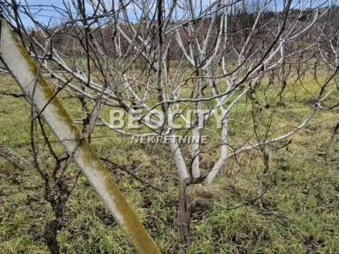 Sale, house, 120m², Sremski Karlovci, Novi Sad - image 6