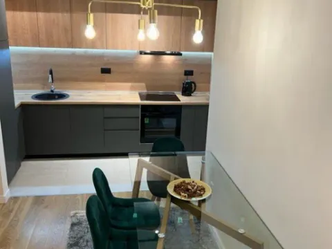 Rent, one bedroom apartment, 53m², Central Point, Podgorica - image 4