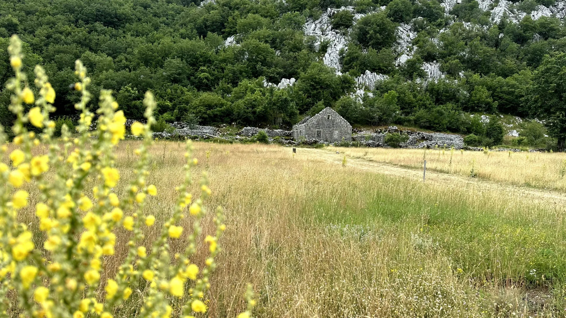 Prodaja, plac, 12000m², Grahovo, Nikšić