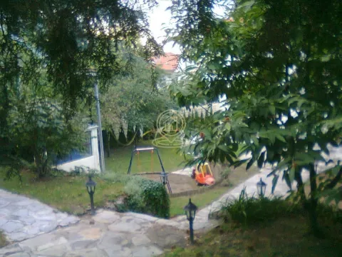 Green yard with a pathway, trees, and toys. - image 16