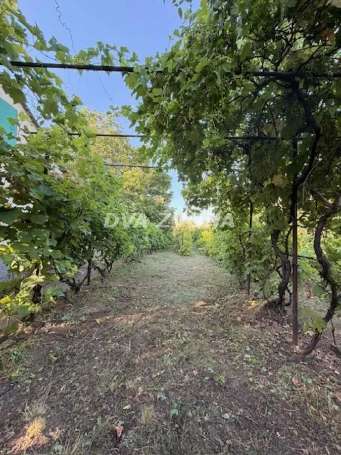 Prodaja, kuća, 34m², Čortanovci, Inđija