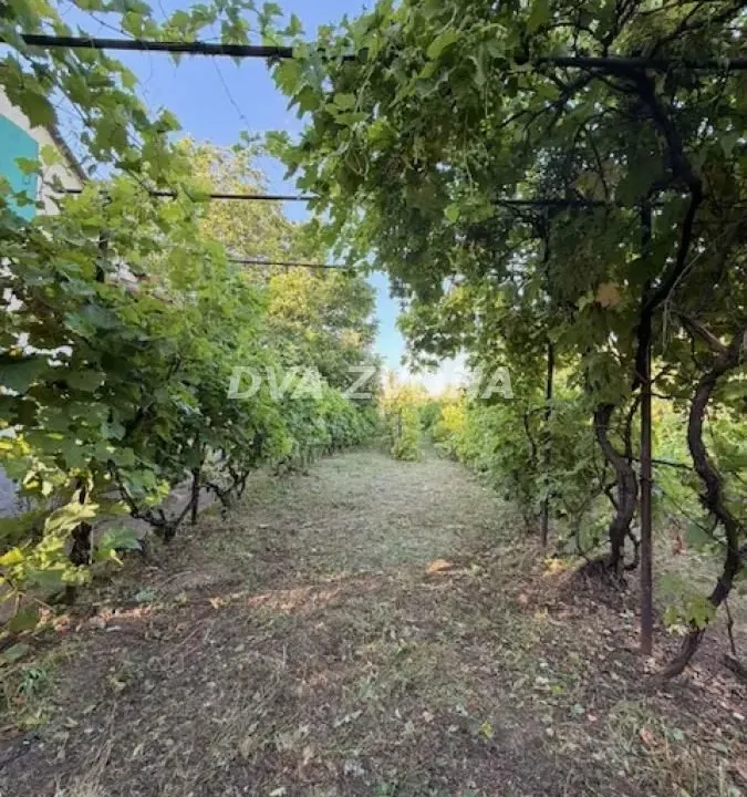 Sale, house, 34m², Čortanovci, Inđija