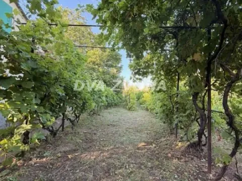 Prodaja, kuća, 34m², Čortanovci, Inđija - image 1