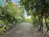 Sale, house, 34m², Čortanovci, Inđija