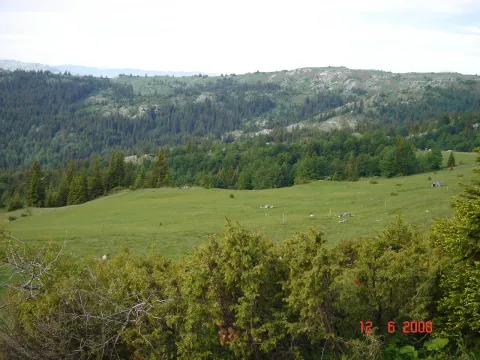 Prodaja, plac, 450000m², Centar, Žabljak - image 8