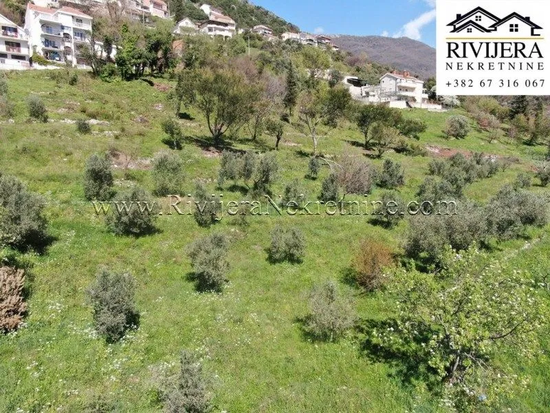 Prodaja, plac, 799m², Zelenika, Herceg Novi